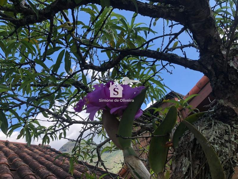 Comprar Casa em Araras, Petrópolis/RJ - Simone de Oliveira Imóveis