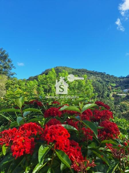 Comprar Casa em Secretário, Petrópolis/RJ - Simone de Oliveira Imóveis