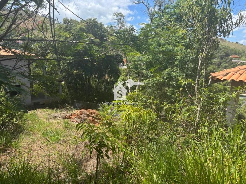 Comprar Casa em Itaipava, Petrópolis/RJ - Simone de Oliveira Imóveis