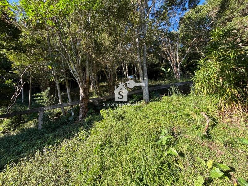 Comprar Casa em Itaipava, Petrópolis/RJ - Simone de Oliveira Imóveis Comprar Casa em Itaipava, Petrópolis/RJ - Simone de Oliveira Imóveis