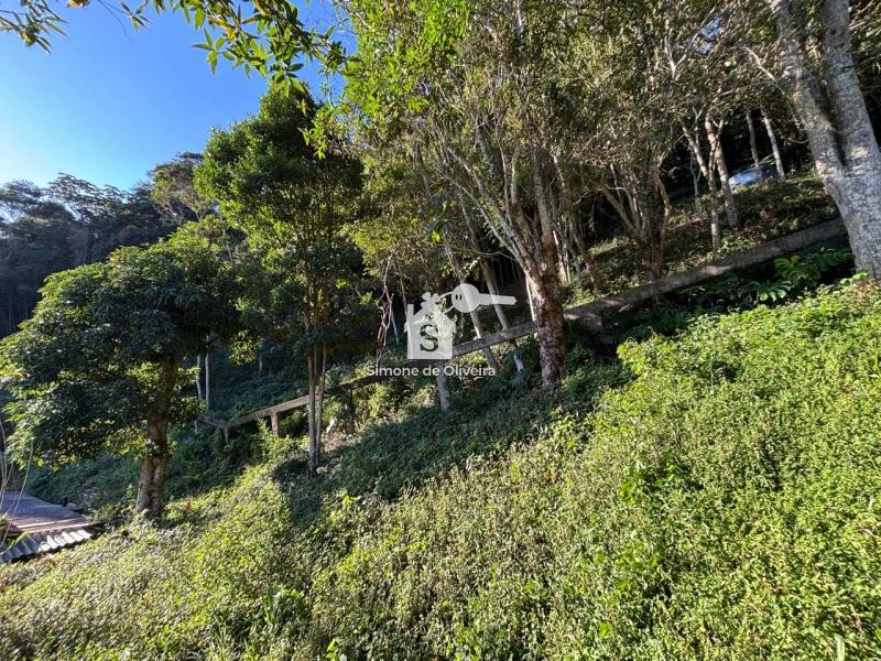 Comprar Casa em Itaipava, Petrópolis/RJ - Simone de Oliveira Imóveis Comprar Casa em Itaipava, Petrópolis/RJ - Simone de Oliveira Imóveis