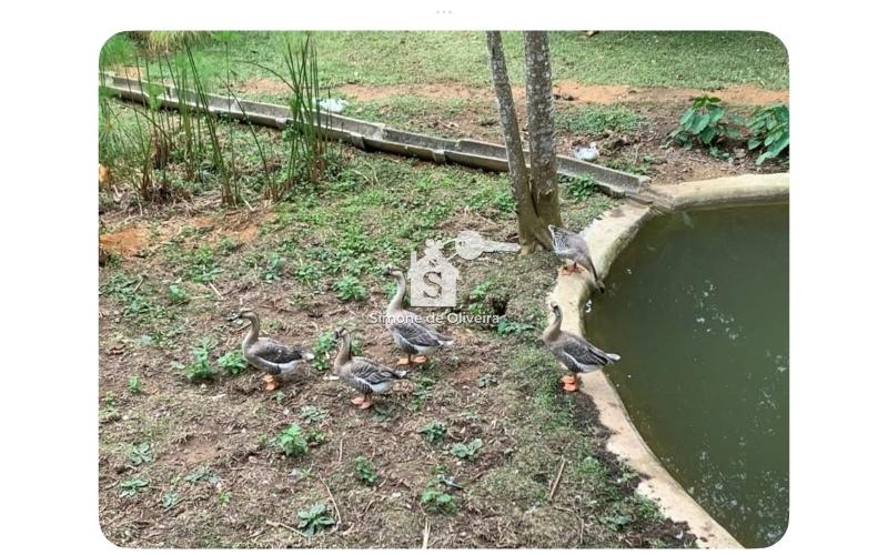 Comprar Fazenda / Sítio em Araras, Petrópolis/RJ - Simone de Oliveira Imóveis