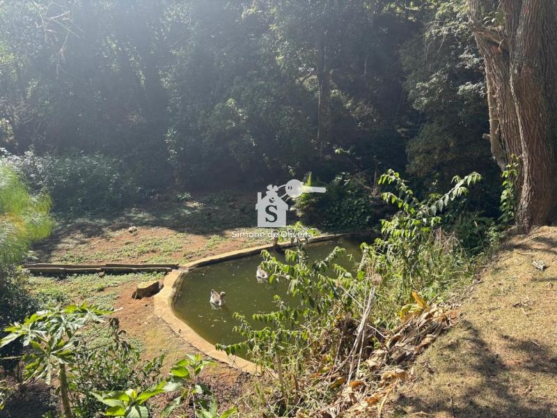 Comprar Fazenda / Sítio em Araras, Petrópolis/RJ - Simone de Oliveira Imóveis