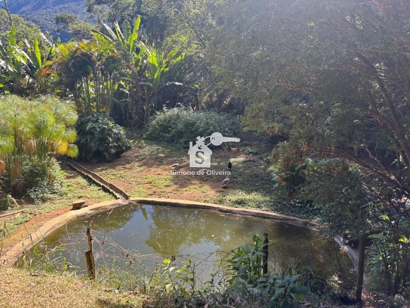 Comprar Fazenda / Sítio em Araras, Petrópolis/RJ - Simone de Oliveira Imóveis