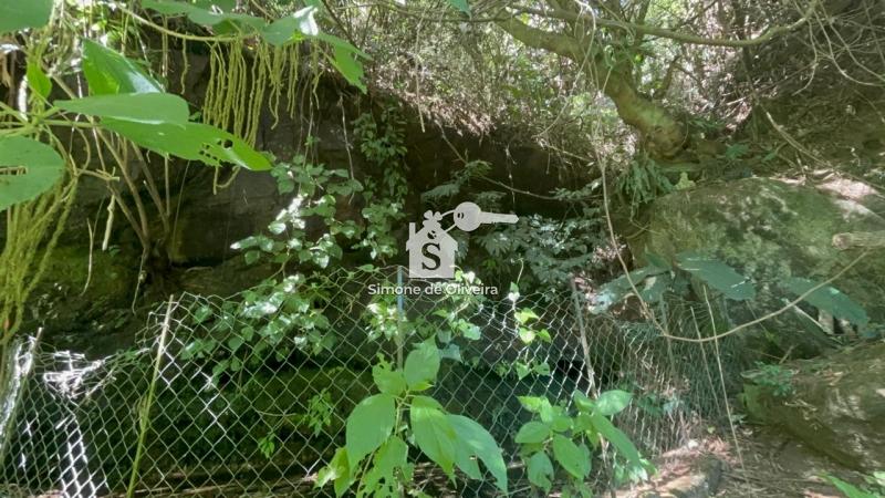 Comprar Fazenda / Sítio em Araras, Petrópolis/RJ - Simone de Oliveira Imóveis