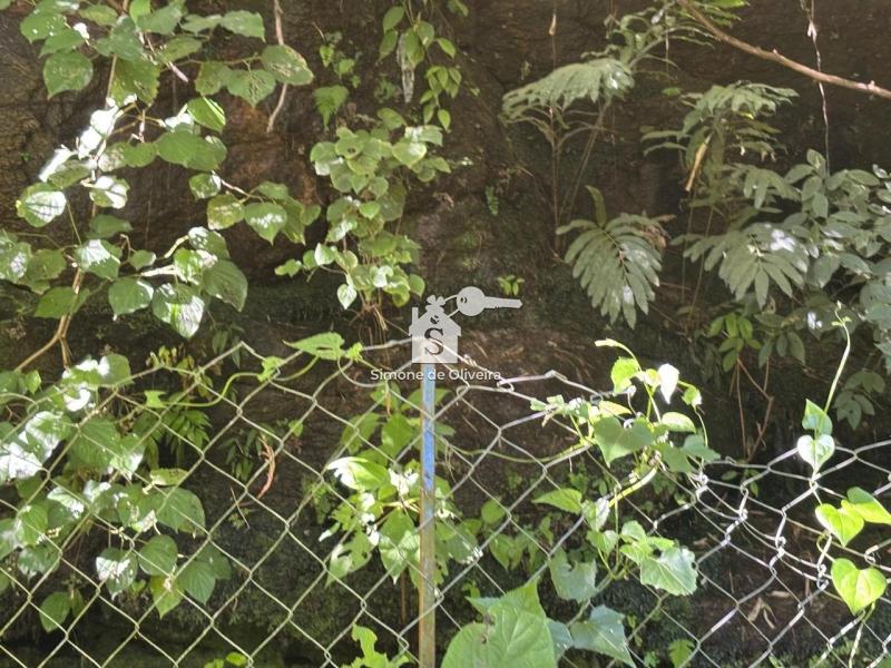 Comprar Fazenda / Sítio em Araras, Petrópolis/RJ - Simone de Oliveira Imóveis