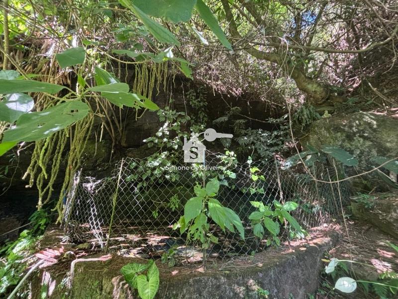 Comprar Fazenda / Sítio em Araras, Petrópolis/RJ - Simone de Oliveira Imóveis