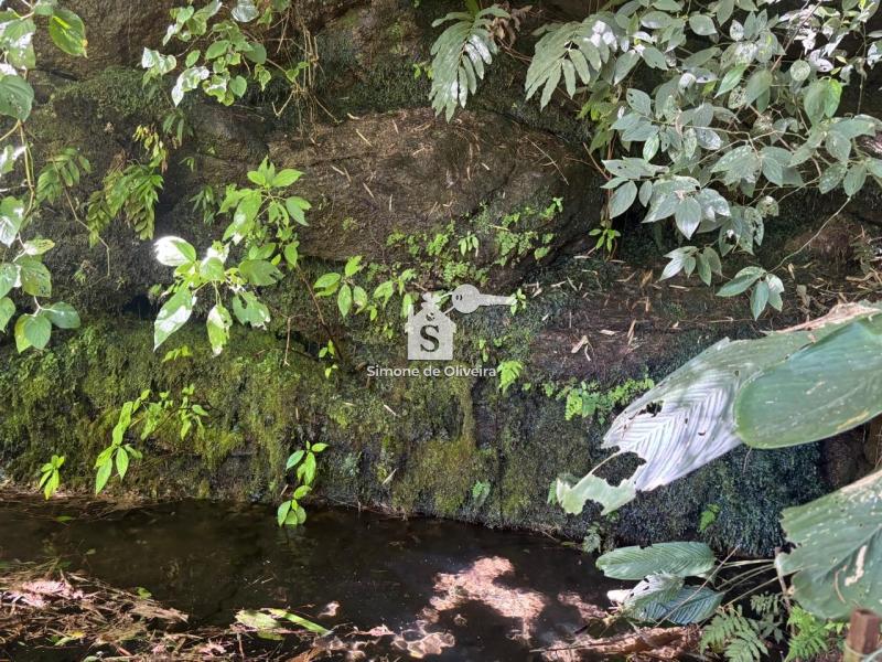 Comprar Fazenda / Sítio em Araras, Petrópolis/RJ - Simone de Oliveira Imóveis