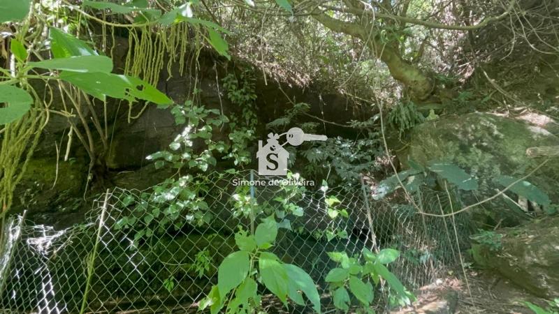 Comprar Fazenda / Sítio em Araras, Petrópolis/RJ - Simone de Oliveira Imóveis
