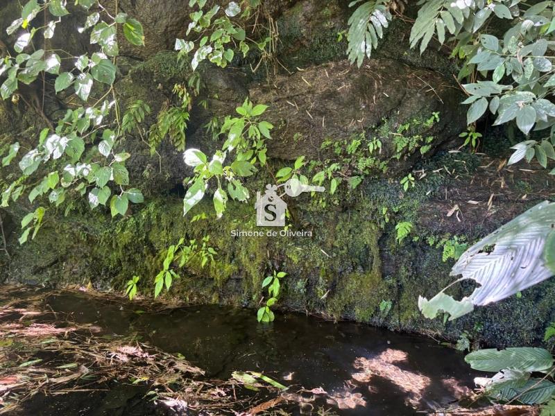 Comprar Fazenda / Sítio em Araras, Petrópolis/RJ - Simone de Oliveira Imóveis
