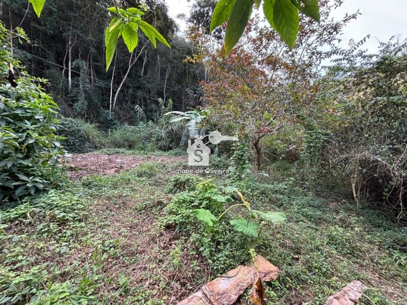 Comprar Terreno Residencial em Araras, Petrópolis/RJ - Simone de Oliveira Imóveis Comprar Terreno Residencial em Araras, Petrópolis/RJ - Simone de Oliveira Imóveis
