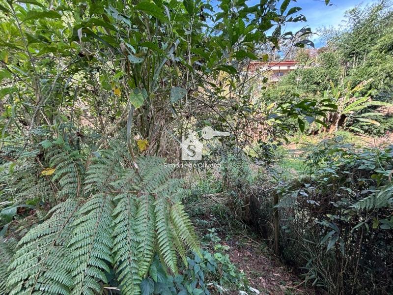 Comprar Terreno Residencial em Araras, Petrópolis/RJ - Simone de Oliveira Imóveis Comprar Terreno Residencial em Araras, Petrópolis/RJ - Simone de Oliveira Imóveis