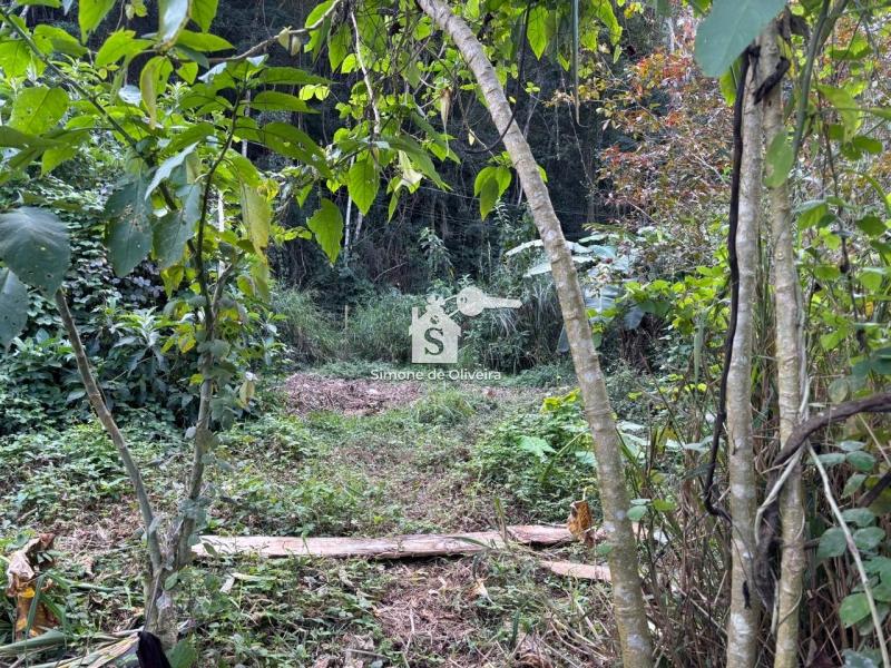 Comprar Terreno Residencial em Araras, Petrópolis/RJ - Simone de Oliveira Imóveis Comprar Terreno Residencial em Araras, Petrópolis/RJ - Simone de Oliveira Imóveis