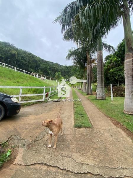 Comprar Fazenda / Sítio em Secretário, Petrópolis/RJ - Simone de Oliveira Imóveis Comprar Fazenda / Sítio em Secretário, Petrópolis/RJ - Simone de Oliveira Imóveis