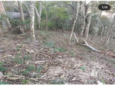 [CI 2316] Terreno Residencial em Itaipava, Petrópolis/RJ