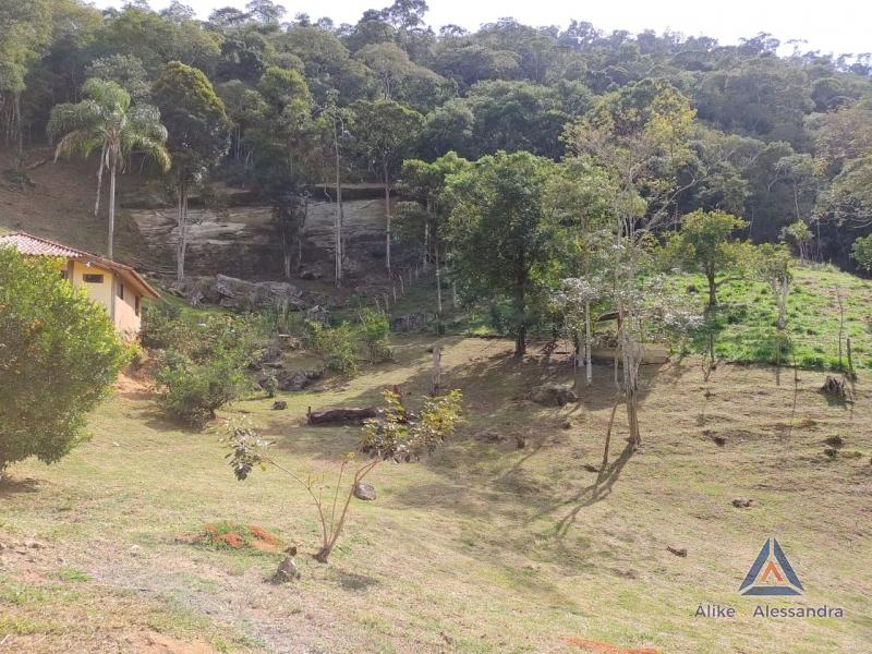 Fazenda / Sítio à venda em Vale Videiras, Petrópolis - RJ - Foto 11