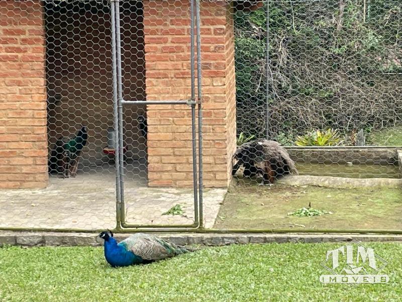 Fazenda / Sítio à venda em Fazenda Inglesa, Petrópolis - RJ - Foto 8
