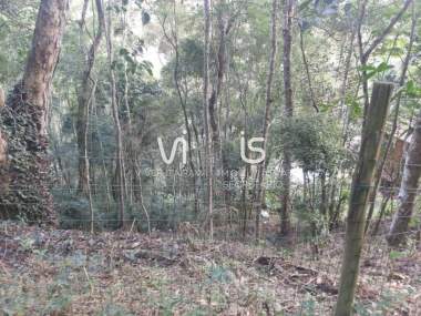 Terreno Residencial em Itaipav...