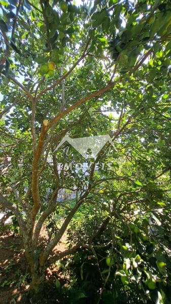 Casa à venda em Corrêas, Petrópolis - RJ - Foto 23
