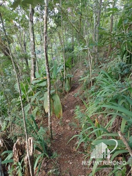 Casa à venda em Araras, Petrópolis - RJ - Foto 13